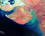 Gujarat, India seen from space.