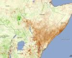 Vegetation map of Eastern Africa during the severe drought of 2011