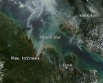 154  forest and land fires across Riau province on 20 July. 