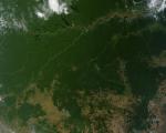 Satellite image of the Amazon