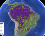 Forest cover in South America viewed on the Geo-Wiki platform (Image: IIASA/Geo-Wiki/Google Earth)