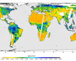 High-resolution global soil moisture map from SMAP (Image: NASA)