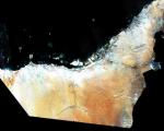 Satellite image of UAE by DubaiSat-1 (Image: EIAST)