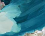 Satellite image of oil from the Shahid Bagheri wreck mixing with sediment washed into the Khuran strait after rainfall