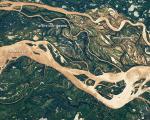Image of Parana River Flood Plane