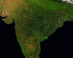 Satellite Image of India