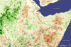 Drought in Ethiopia in 2008, seen from Space by SPOT Vegetation satellite