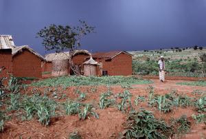 The East African Community backs the Hyogo Framework