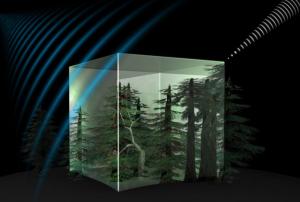 The Biomass satellite