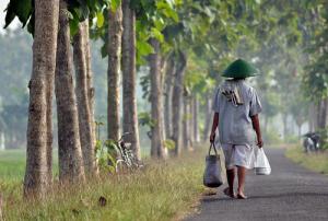 The study looks at eight countries in the Asia-Pacific