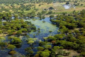 Flood-affected village in Upper Nile State, Southern Sudan, in 2007.