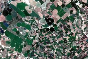 Cultivated land in Spain