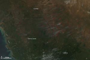Fires in West Africa