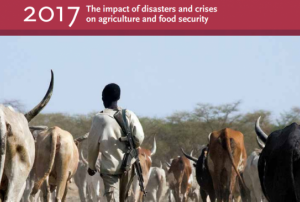 FAO Report. Image: FAO