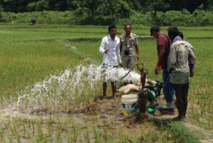Sustainable use of groundwater during the dry season is crucial for paddy farming in Saptari, Nepal. Image: ICIMOD