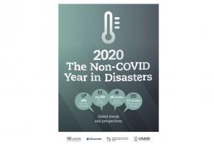 2020: The Non-COVID Disasters