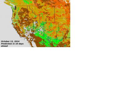 Foliage Phase Prediction Derived from VIIRS NDVI