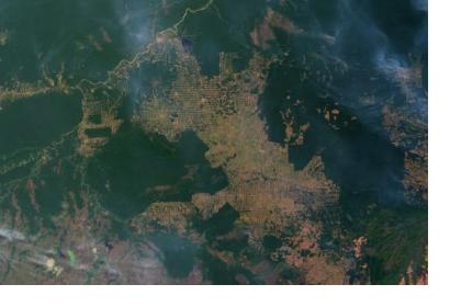 Image: Jesse Allen and Robert Simmon. NASA. 