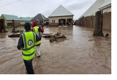 Flooding in Adamawa State, Nigeria, July 2025. At least 23 people died and hundreds were displaced following heavy rains in Yola North and Yola South. Source: BBC News Pidgin, photo via Governor Fintiri/Facebook