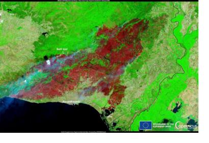 Sentinel 2 Data Burn Scar