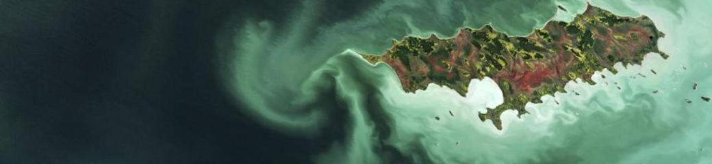 Algae bloom in Lake Winnipeg in the Canadian province of Manitoba, with Reindeer Island visible in the lower-right part of the image. Image: contains modified Copernicus Sentinel data (2017), processed by ESA, CC BY-SA 3.0 IGO.